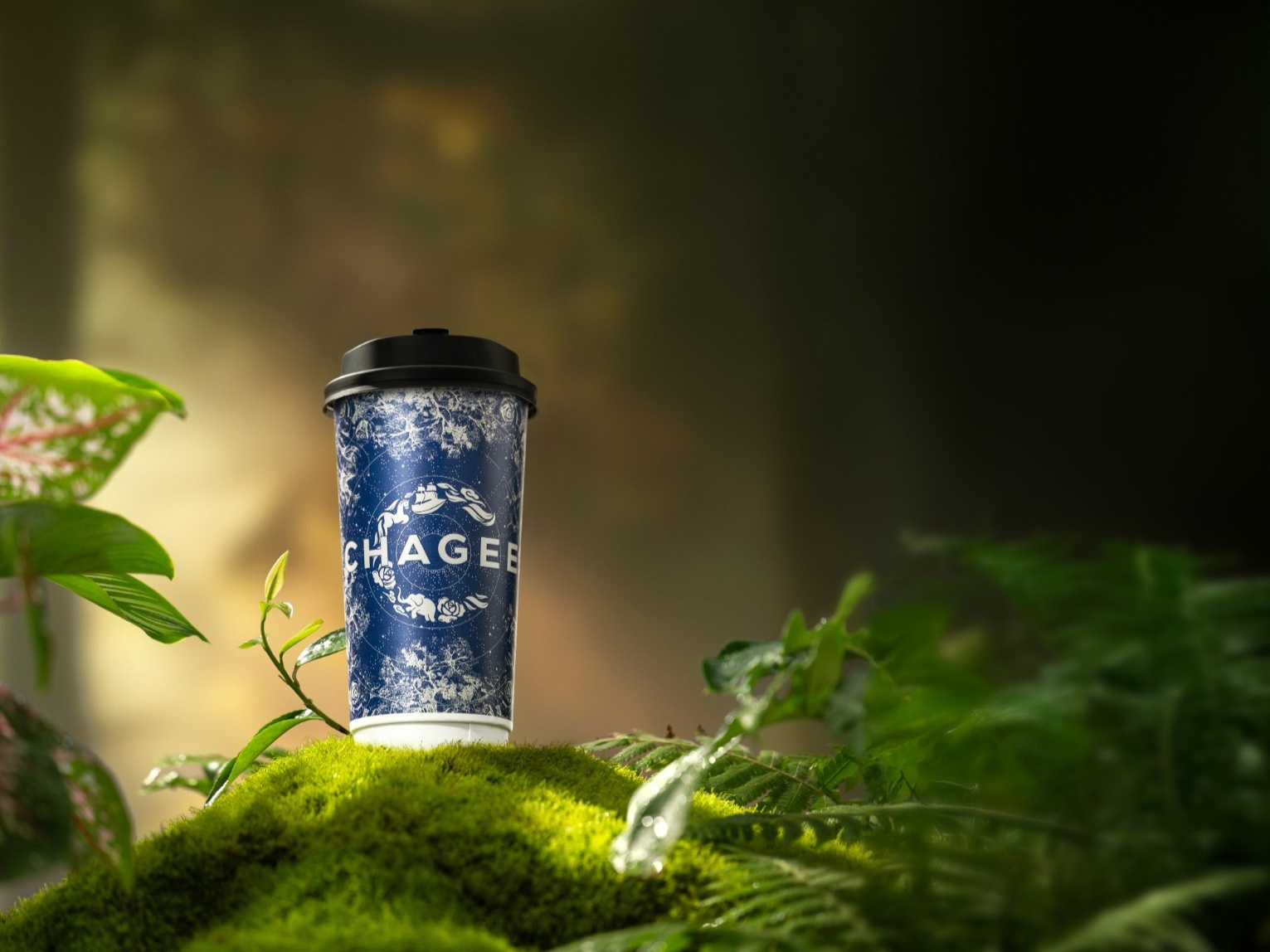 Changle Tea CHAGEE Official WebsiteAbout Products